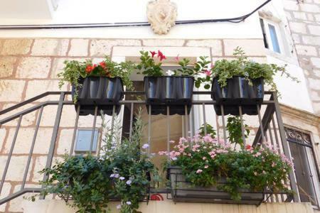 Apartment Punat Korcula Town Exterior foto